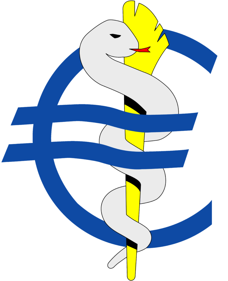 Terminübersicht zur Semestervorbereitung MiGG – WiSe25/26